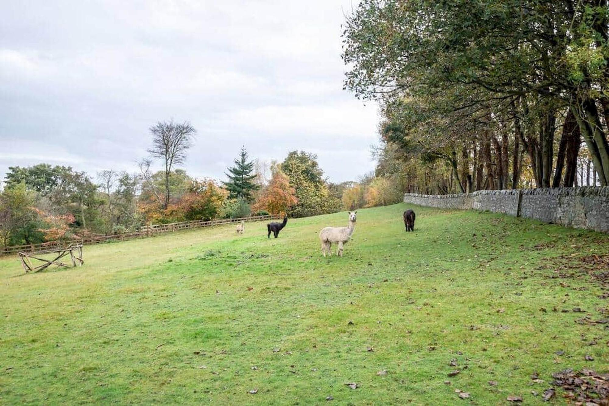 Park View Cottages - The Granary Boarhills Luaran gambar